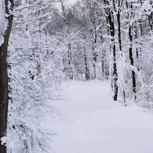 Meet your Posher, Kaitlin